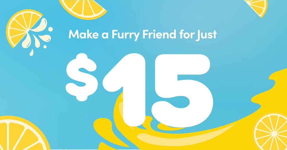One Day Only: $15 Make Your Own Furry Friend icon